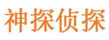 湖滨侦探公司